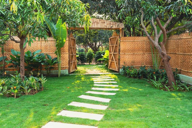 Bamboo villas