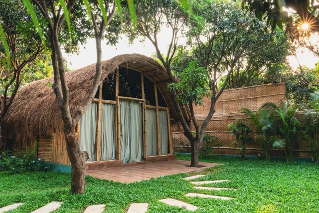 Cocoon Earth